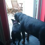 Derek Bunney - @derekbunney - Instagram