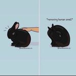 Derek Eng - @derek_burd - Instagram