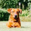 Derek Burton - @derek.burton58 - TikTok