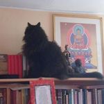 Derek Busby - @wosaltenzin - Instagram