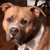 Derek Busby - @derek.busby - TikTok