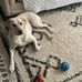 Derek Bushnell - Facebook