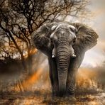Derek Butler - Facebook