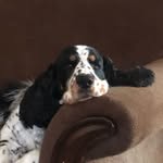 Derek Calligan - @derekcalligan - Instagram