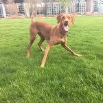 @derekcall - Instagram