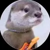 derek - @derek.campos_ - TikTok
