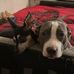 Derek Cantu - Facebook