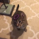 Derek Carey - @dcarey0308 - Instagram