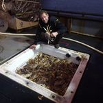 Derek Cartmell - @cartmellderek304 - Instagram
