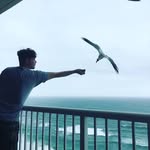 Derek Casey - @dat_dude_dc5 - Instagram