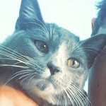 LUNA🐱 - @derek____casey - Instagram