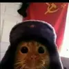 Derek Castro - @derek.castro0 - TikTok
