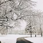 Stephanie Derek Caudill - @sterek31 - Instagram
