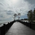 Derek Chew - @pawpal07 - Instagram