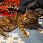 Derek Conklin - @derekconklin56 - Instagram