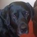 Derek Conlin - Facebook