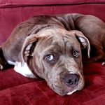 Derek Coon - @dezmaster88 - Instagram