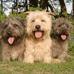 Derek Corrigan - @corrigan1171 - Instagram