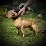 Derek Costa - @hppits - Instagram