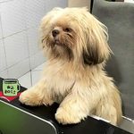 Derek Costa - @dekinhocosta_ - Instagram
