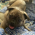 Derek Coulter Morin - @deemoe123 - Instagram