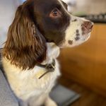 Derek Cummings - @derekcummings9672 - Instagram