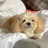 derekcummings505 - @derekcummings505 - TikTok