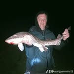 Alan J Derek Cummins - @thewhackybrackiefisherman13 - Instagram