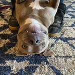 Derek Daling - @derekdaling - Instagram