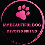 Derek Davis - @mybeautifuldog.pet - Instagram