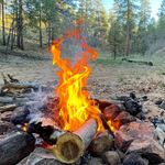 Derek Davis - @mystic_wombat - Instagram