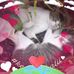 Delpri Derek - Facebook