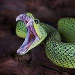 Derek Dempsey Veinotte - @derk_dempsey_34457 - Instagram