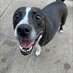 Neil Derek Dempsey - @ndempsey27 - Instagram