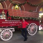 Derek C. Dietz - @derekd1876 - Instagram