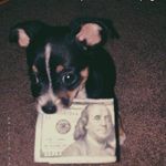 Derek Doherty Cruz - @browsbestthe - Instagram