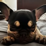 Derek Dörr - @derekdoerr - Instagram