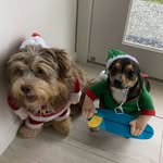 Derek & Douglas - @derek.and.douglas - Instagram