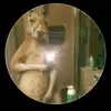 Derek Duran - @derek.duran2 - TikTok