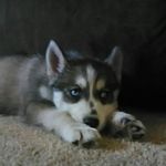 Derek Erickson - @derek.erickson.395 - Instagram