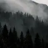 🌮Derek🌮 - @derekestrada78 - TikTok