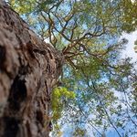 Derek Ethridge - @ethridge3058 - Instagram