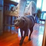 Derek Fallon - @fallon592 - Instagram