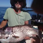 Derek Farley - @derekfarley32 - Instagram