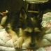 Derrick Farrington - Facebook