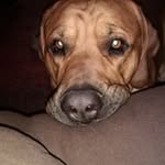 Derek Finn - @derek.finn.129 - Instagram