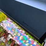 Derek Fish Tank - @derekfishtank - Instagram