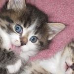 Derek Fitzpatrick - @fitzpatrickderek - Instagram