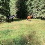Derek Fletcher - @firefly_and_sparrow - Instagram