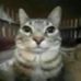 Derek Flores - Facebook